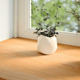Vidaxx Fensterbänke 2 Stk. 120x20x2 cm Eiche massiv hellbraun