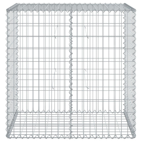 Vidaxx Gabione 100x50x100 cm verzinktes Eisen silberfarben