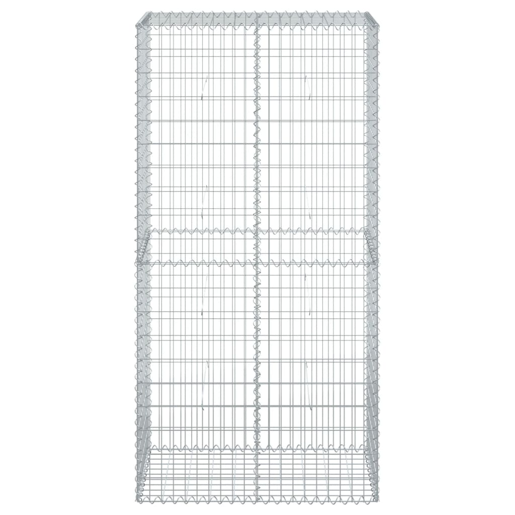 Vidaxx Gabione 100x50x200 cm verzinktes Eisen silberfarben