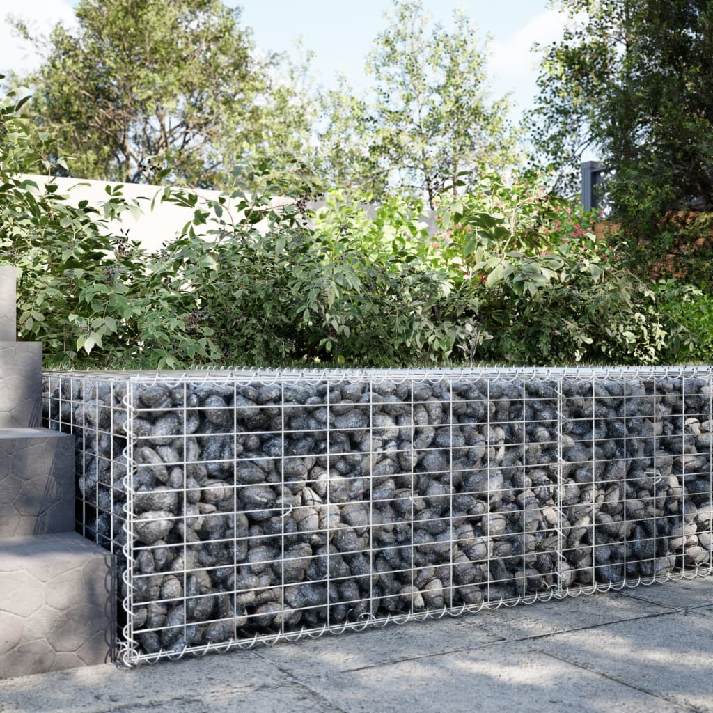 Vidaxx Gabione 100x100x50 cm verzinktes Eisen silberfarben