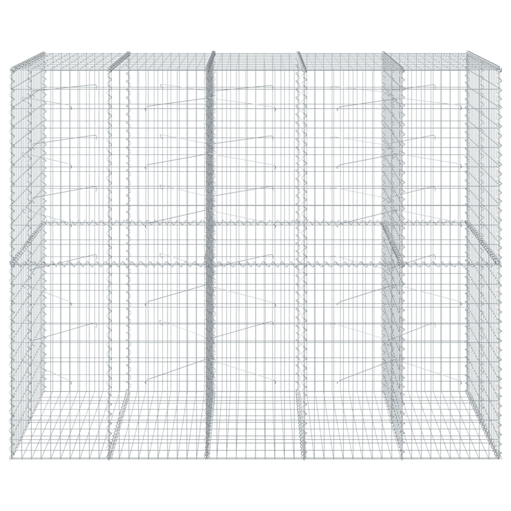 VidaXL Gabione 250x100x200 cm verzinktes Eisen silberfarben
