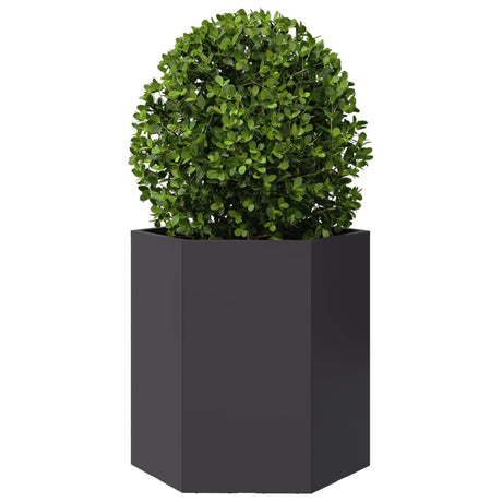 Vidaxx Pflanzgefäß Sechseck 46x40x45 cm Stahl schwarz