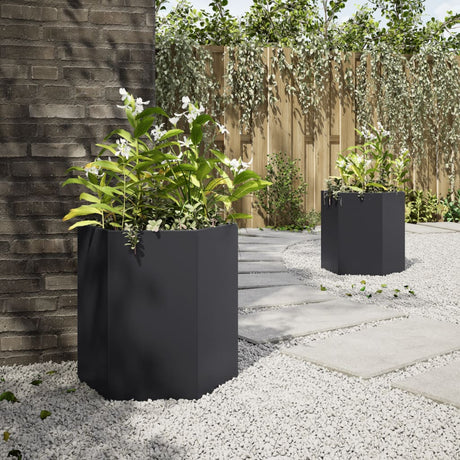 Vidaxx Pflanzgefäße 2 Stk. Sechseck 46x40x45 cm Stahl schwarz