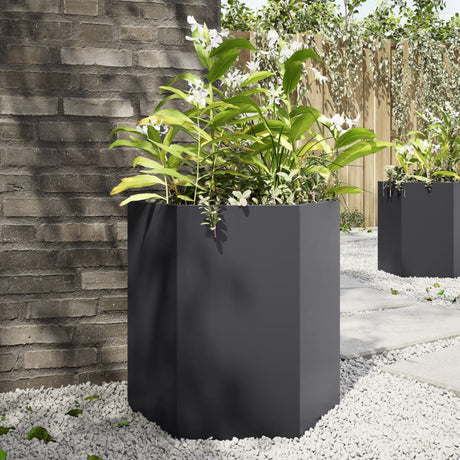 Vidaxx Pflanzgefäße 2 Stk. Sechseck 46x40x45 cm Stahl schwarz