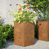 VidaXL Pflanzgefäß sechseckig 46x40x45 cm Cortenstahl