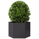 Vidaxx Pflanzgefäß Sechseck 69x60x45 cm Stahl schwarz