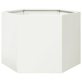 Vidaxx Pflanzgefäß Sechseck 69x60x45 cm Stahl weiß
