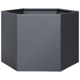 Vidaxx Pflanzgefäß Sechseck 69x60x45 cm Stahl Anthrazit