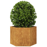 Vidaxx Pflanzgefäß Sechseck 69x60x45 cm wetterfester Stahl