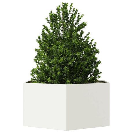 Vidaxx Pflanzgefäß Sechseck 104x90x45 cm Stahl weiß