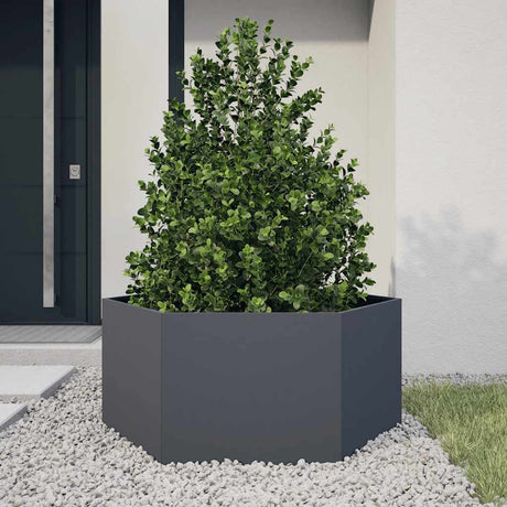 Vidaxx Pflanzgefäß Sechseck 104x90x45 cm Stahl Anthrazit