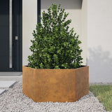 Vidaxx Pflanzgefäß Sechseck 104x90x45 cm wetterfester Stahl