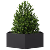 Vidaxx Pflanzgefäß Sechseck 138x120x45 cm Stahl schwarz