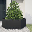 Vidaxx Pflanzgefäß Sechseck 138x120x45 cm Stahl schwarz
