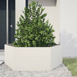 Vidaxx Pflanzgefäß Sechseck 138x120x45 cm Stahl weiß