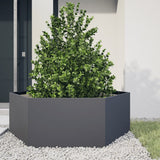 Vidaxx Pflanzgefäß Sechseck 138x120x45 cm Stahl Anthrazit