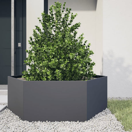 Vidaxx Pflanzgefäß Sechseck 138x120x45 cm Stahl Anthrazit