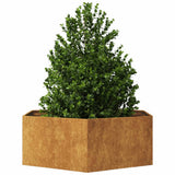 Vidaxx Pflanzgefäß Sechseck 138x120x45 cm wetterfester Stahl