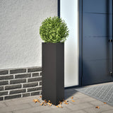 Vidaxx Pflanzgefäß Dreieck 30x26x75 cm Stahl schwarz