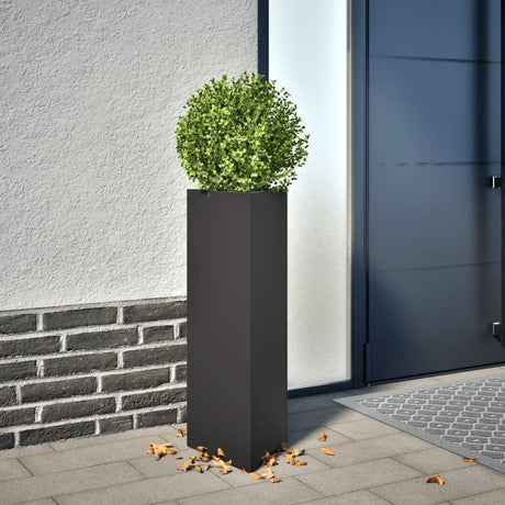 Vidaxx Pflanzgefäß Dreieck 30x26x75 cm Stahl schwarz