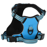 VidaXL Hundegeschirr mit Leine und Halsband verstellbar s blau