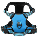 VidaXL Hundegeschirr mit Leine und Halsband verstellbar L Blau