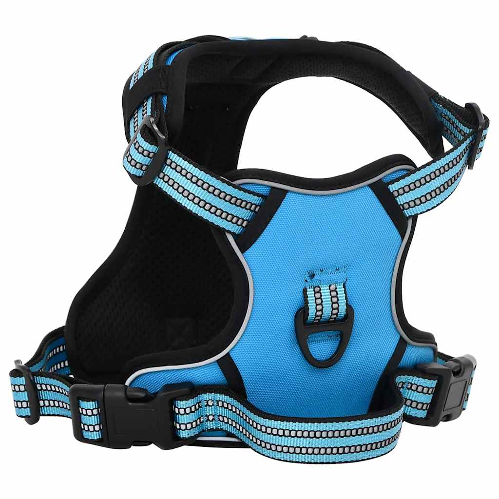 VidaXL Hundegeschirr mit Leine und Halsband verstellbar XL Blau