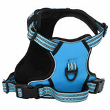 VidaXL Hundegeschirr mit Leine und Halsband verstellbar XL Blau