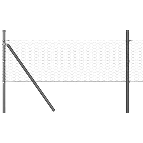 Vidaxl zeshoekig gaashek met grondbevestiging 10 x 0,8 m grijs mesh