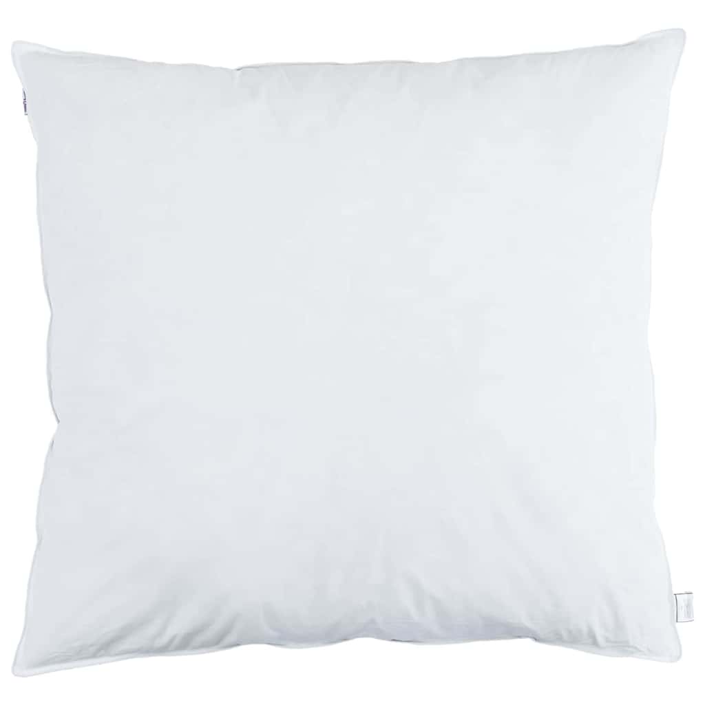 Vidaxl hoofdkussen met kussen 2 pcs wit 60 x 60 cm veren
