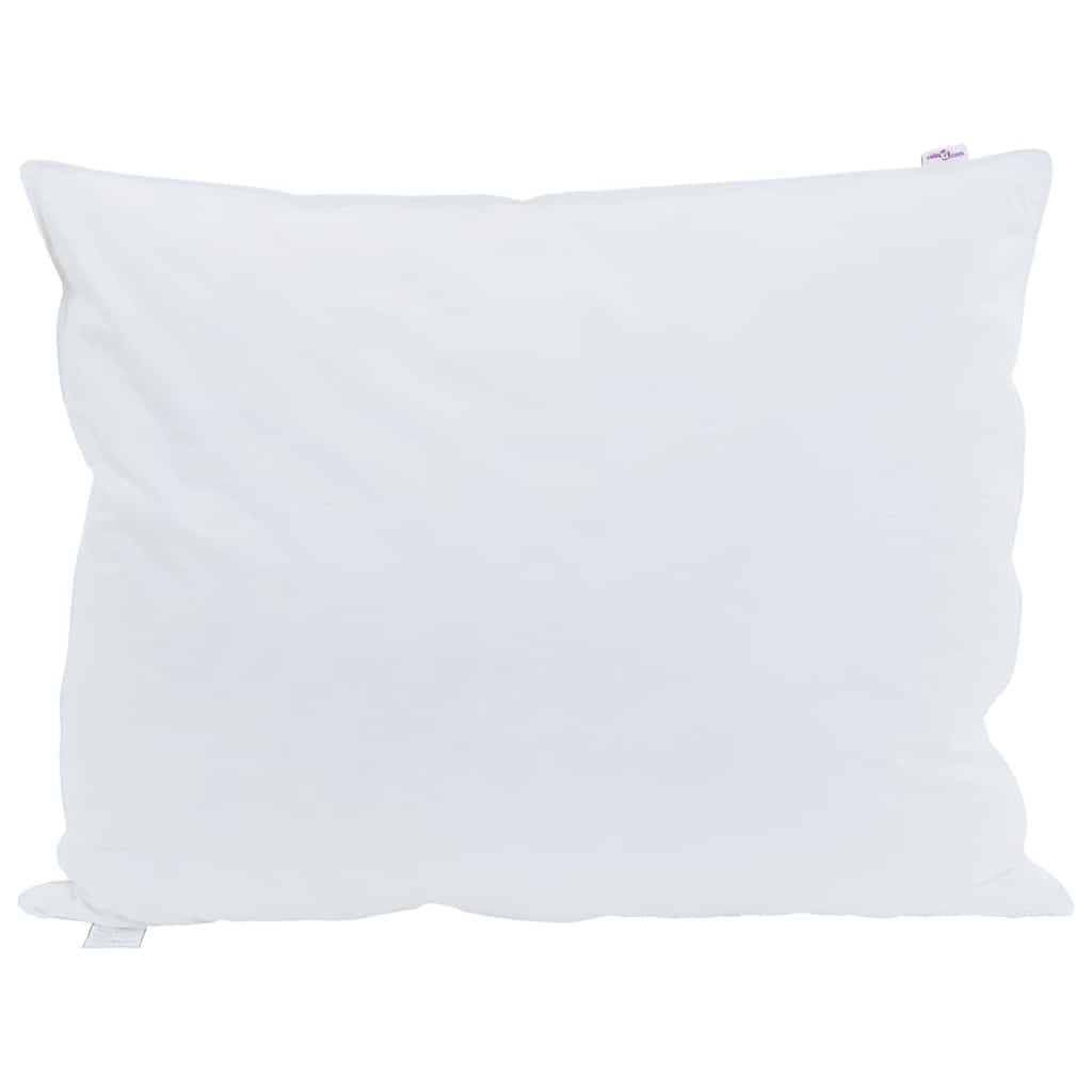 Vidaxl hoofdkussen met kussen 2 pcs wit 60 x 80 cm veren
