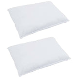 Vidaxl hoofdkussen met kussen 2 pcs wit 60 x 80 cm veren