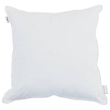 Vidaxl hoofdkussen met kussen 2 pcs wit 60 x 60 cm katoen