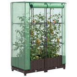 Vidaxx Pflanzkübel erhöht mit Gewächshausabdeckung 80x40x123 cm Rattanoptik