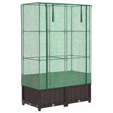 VidaXL Pflanzkübel erhöht mit Gewächshausabdeckung 80x40x138 cm Rattanoptik