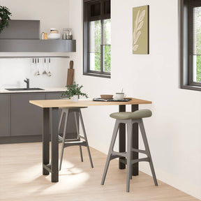 Vidaxl bartafelpoten 2 st 50x(90-91) cm staal antraciet