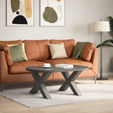 Vidaxl salontafelpoten 2 st x-vormig 70x(42-43) cm staal antraciet