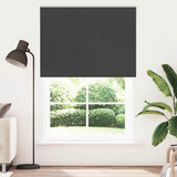 Vidaxl rolgordijn verduisterend 155x210 cm stofbreedte 151,6 cm zwart