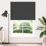 Vidaxl rolgordijn verduisterend 165x230 cm stofbreedte 161,6 cm zwart