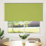 Vidaxx Verdunkelungsrollo 160x150 cm, Stoffbreite 156,6 cm