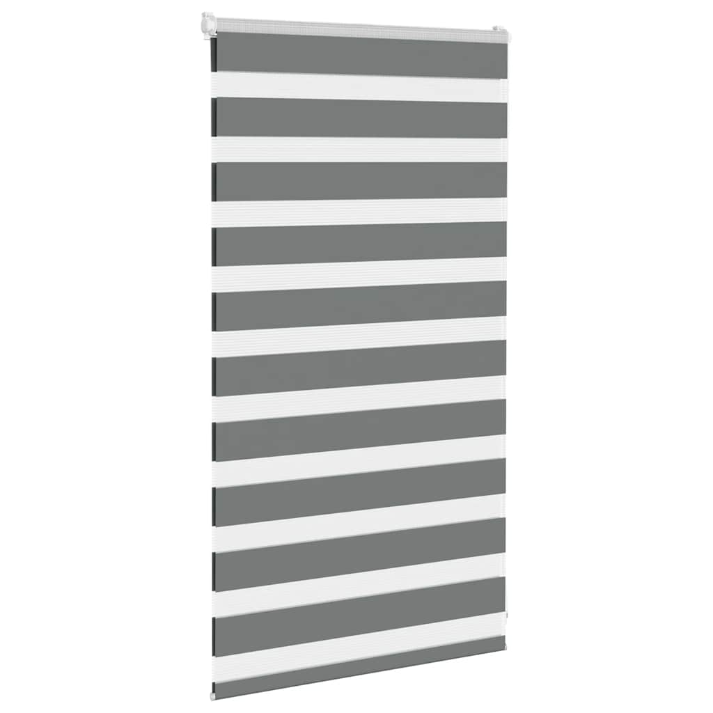 VidaXL Zebra-Rollo 75x100 cm Stoffbreite 70,9 cm Dunkelgrau