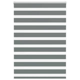 VidaXL Zebra-Rollo 100x100 cm Stoffbreite 95,9 cm Dunkelgrau