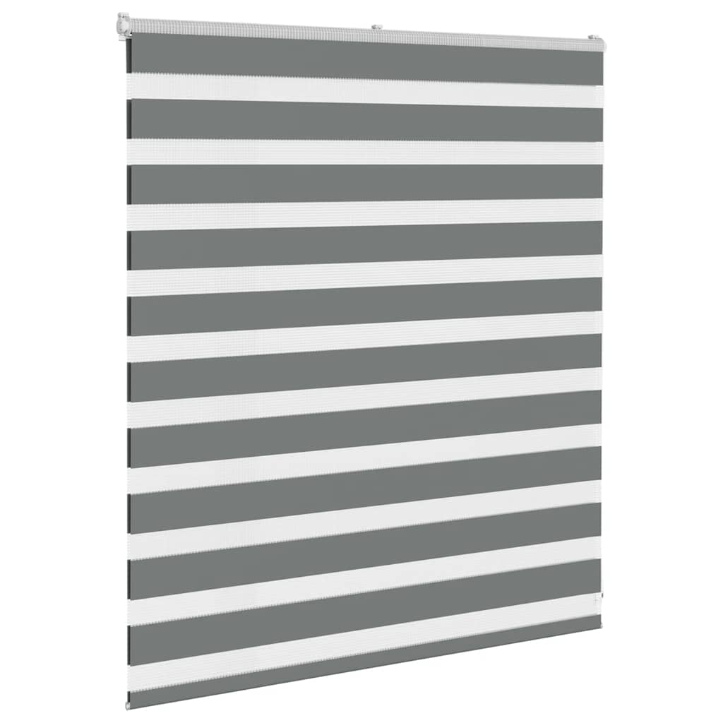 VidaXL Zebra-Rollo 120x100 cm Stoffbreite 115,9 cm Dunkelgrau