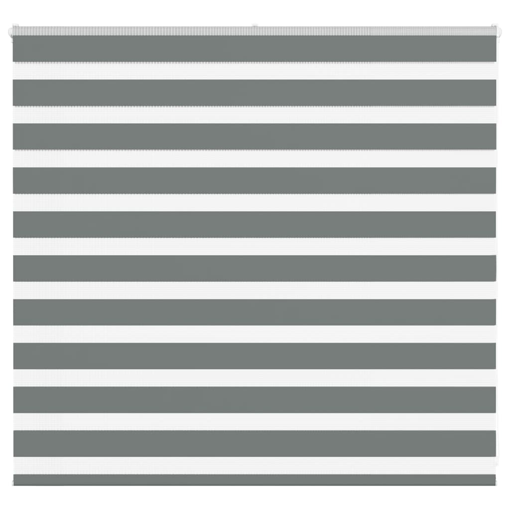VidaXL Zebra-Rollo 155x100 cm Stoffbreite 150,9 cm Dunkelgrau