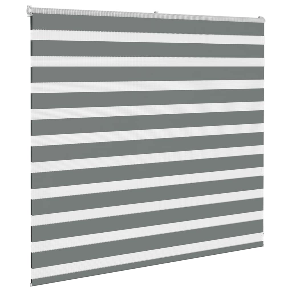 VidaXL Zebra-Rollo 165x100 cm Stoffbreite 160,9 cm Dunkelgrau