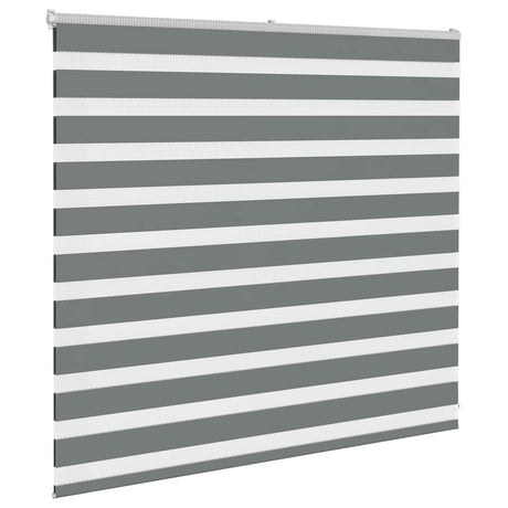 VidaXL Zebra-Rollo 165x100 cm Stoffbreite 160,9 cm Dunkelgrau