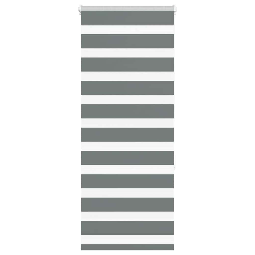 VidaXL Zebra-Rollo 60x150 cm Stoffbreite Dunkelgrau 55,9 cm