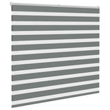 VidaXL Zebra-Rollo 155x150 cm Stoffbreite 150,9 cm Dunkelgrau