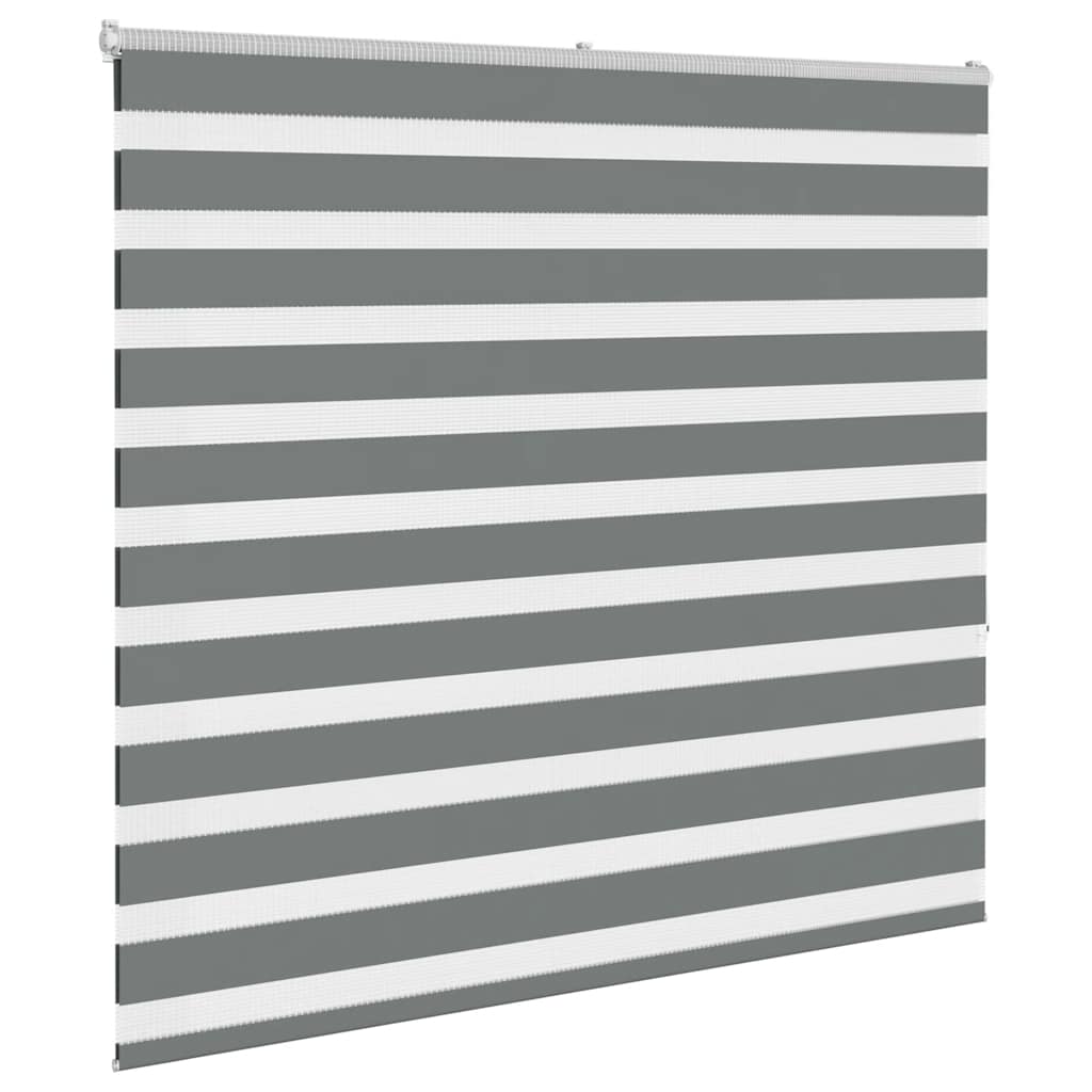 VidaXL Zebra-Rollo 160x150 cm Stoffbreite 155,9 cm Dunkelgrau