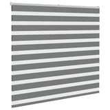 VidaXL Zebra-Rollo 165x150 cm Stoffbreite 160,9 cm Dunkelgrau